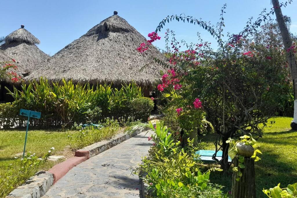 Ferienwohnung Sol Y Mar. Delfines Ixtapa  Exterior foto