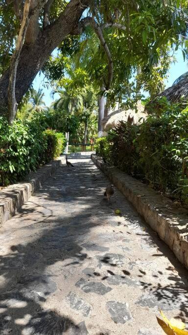 Ferienwohnung Sol Y Mar. Delfines Ixtapa  Exterior foto